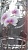 Ваза для цветов "Орхидея" 23см (6)